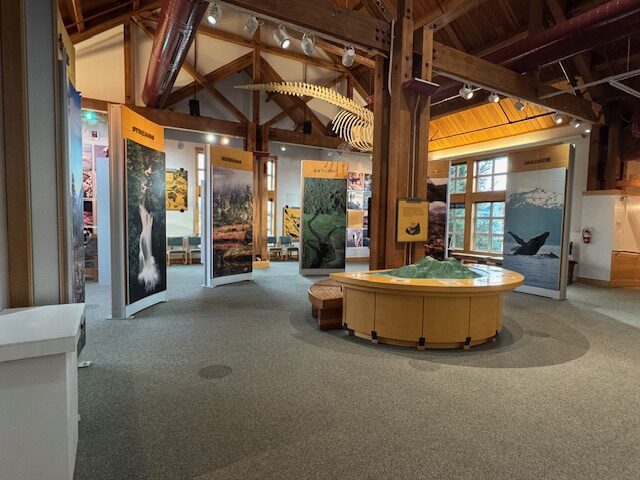 A commercial lobby with freshly cleaned carpets